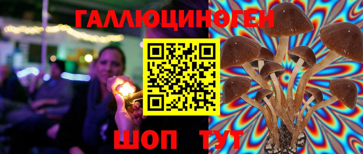 Псилоцибиновые грибы MAGIC MUSHROOMS Южноуральск